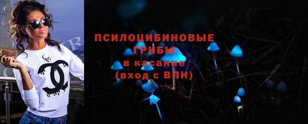 винт Богданович